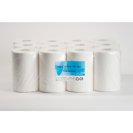 Papírové ručníky MAXI 2x20g 110m
